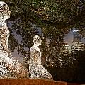 Bigger than the Sum of our Parts - Tolerance Sculptures Downtown Houston Texas