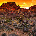 Red Rock Canyon Las Vegas Nevada Fenced Wonder