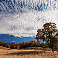 Rolling Hills of the Texas Hill Country in the Fall - Fredericksburg Texas