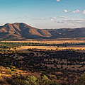 Golden Hour Panorama of Davis Mountains - Blue and Paradise Mountain and Mount Livermore West Texas