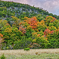 Panorama of Big Tooth Maples Fall Foliage at Lost Maples State Natural Area Vanderpool Texas Hills